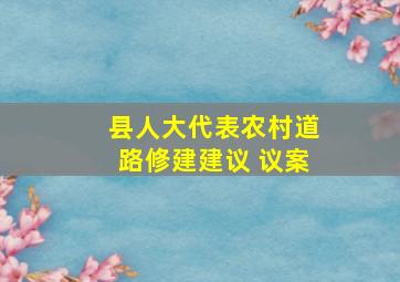 县人大代表农村道路修建建议 议案